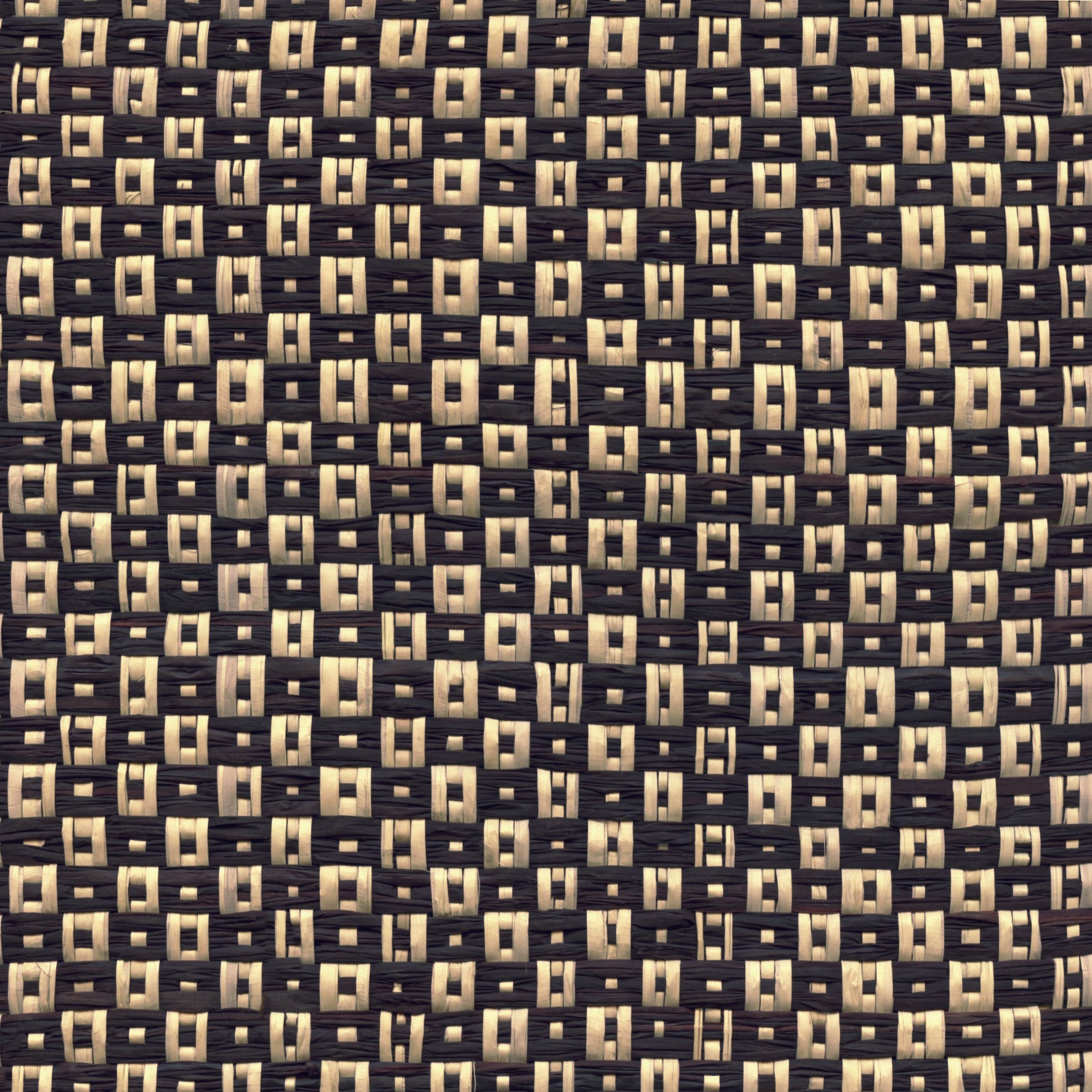 Raffia - Natural Raffia Polka, Black