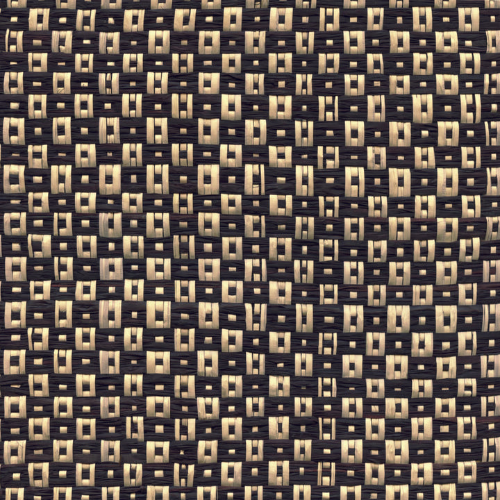 Raffia - Natural Raffia Polka, Black