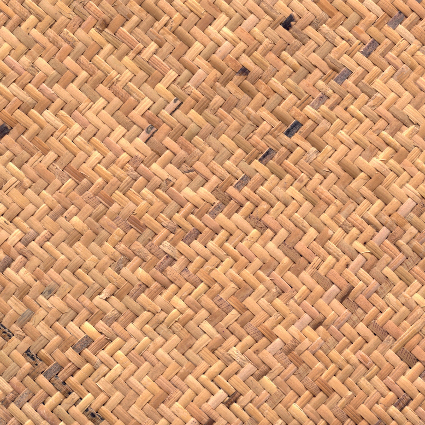 Palm Tree - Rattan, Natural