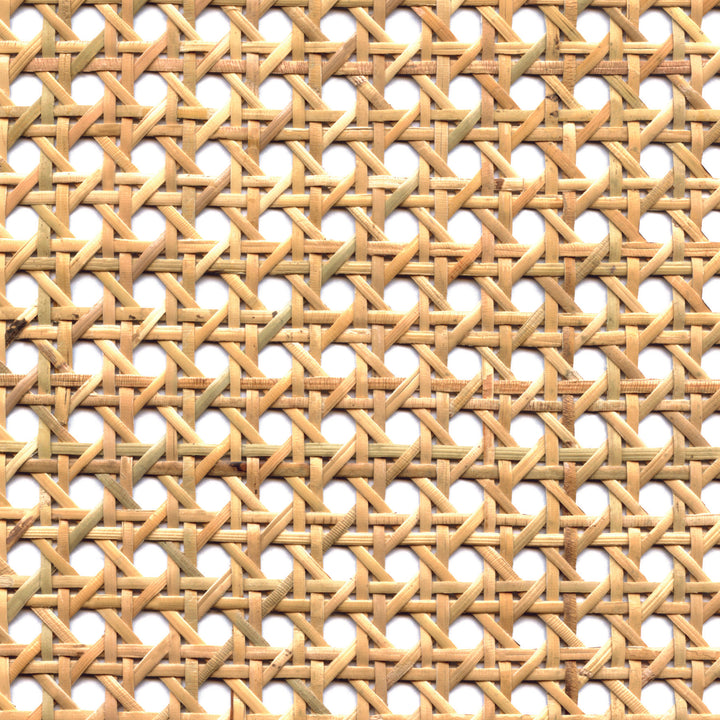 Palm Tree - Canning, Natural