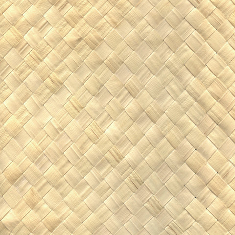 Palm Tree - Buri, Natural (E01)