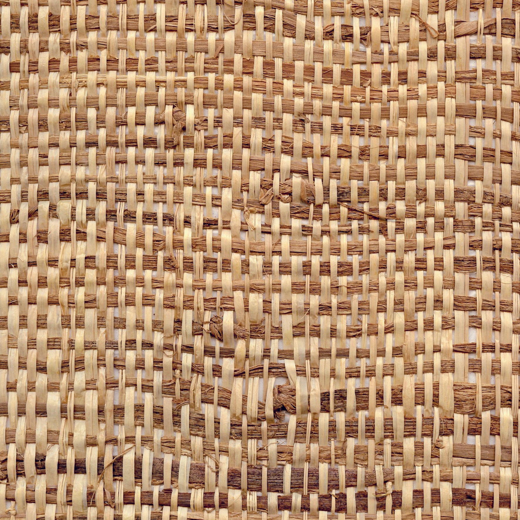 Raffia Banana Leaves - Blond