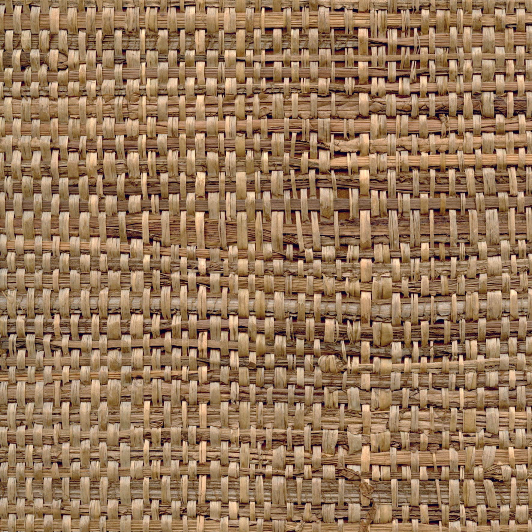 Raffia Banana Leaves - Sand