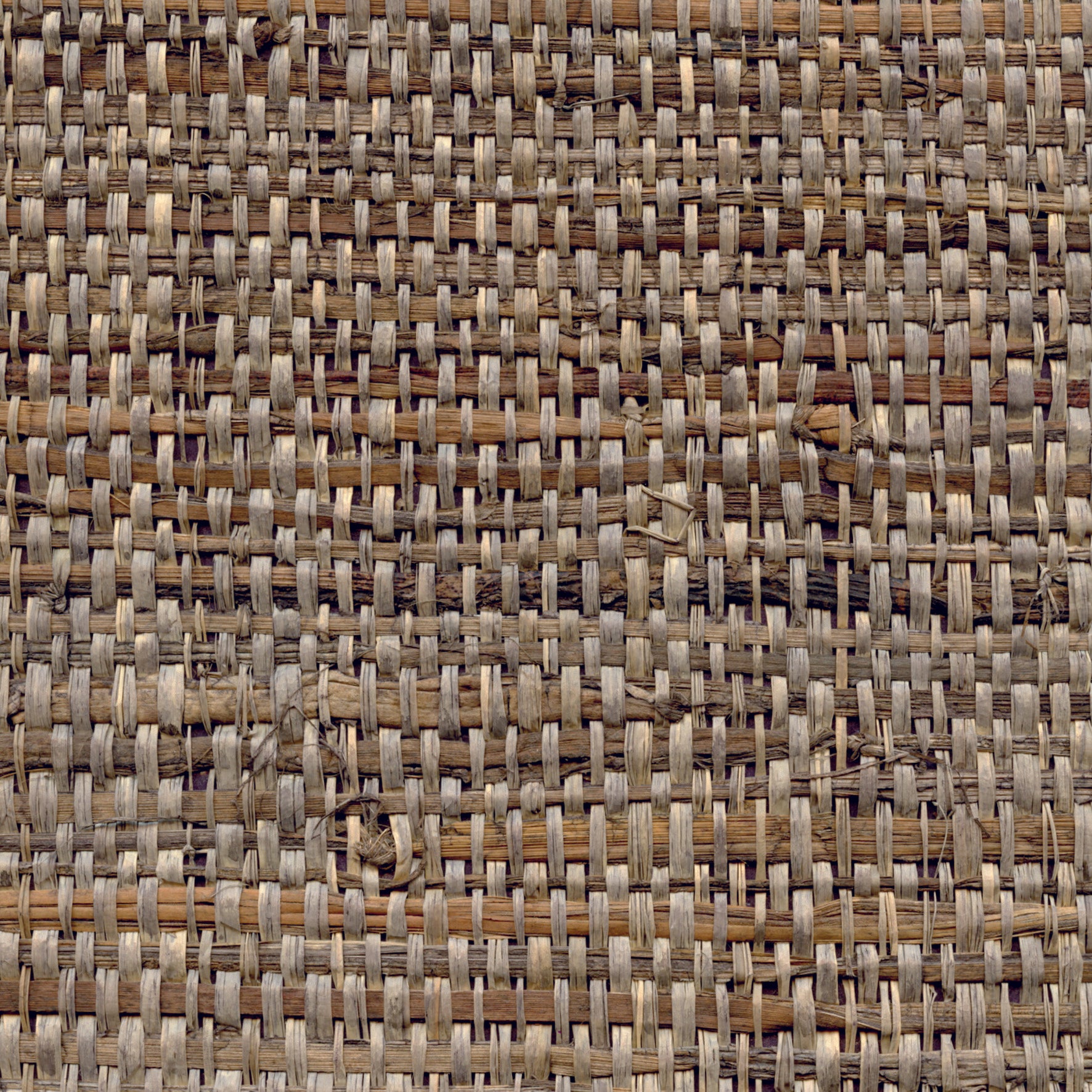Raffia Banana Leaves - Pebble