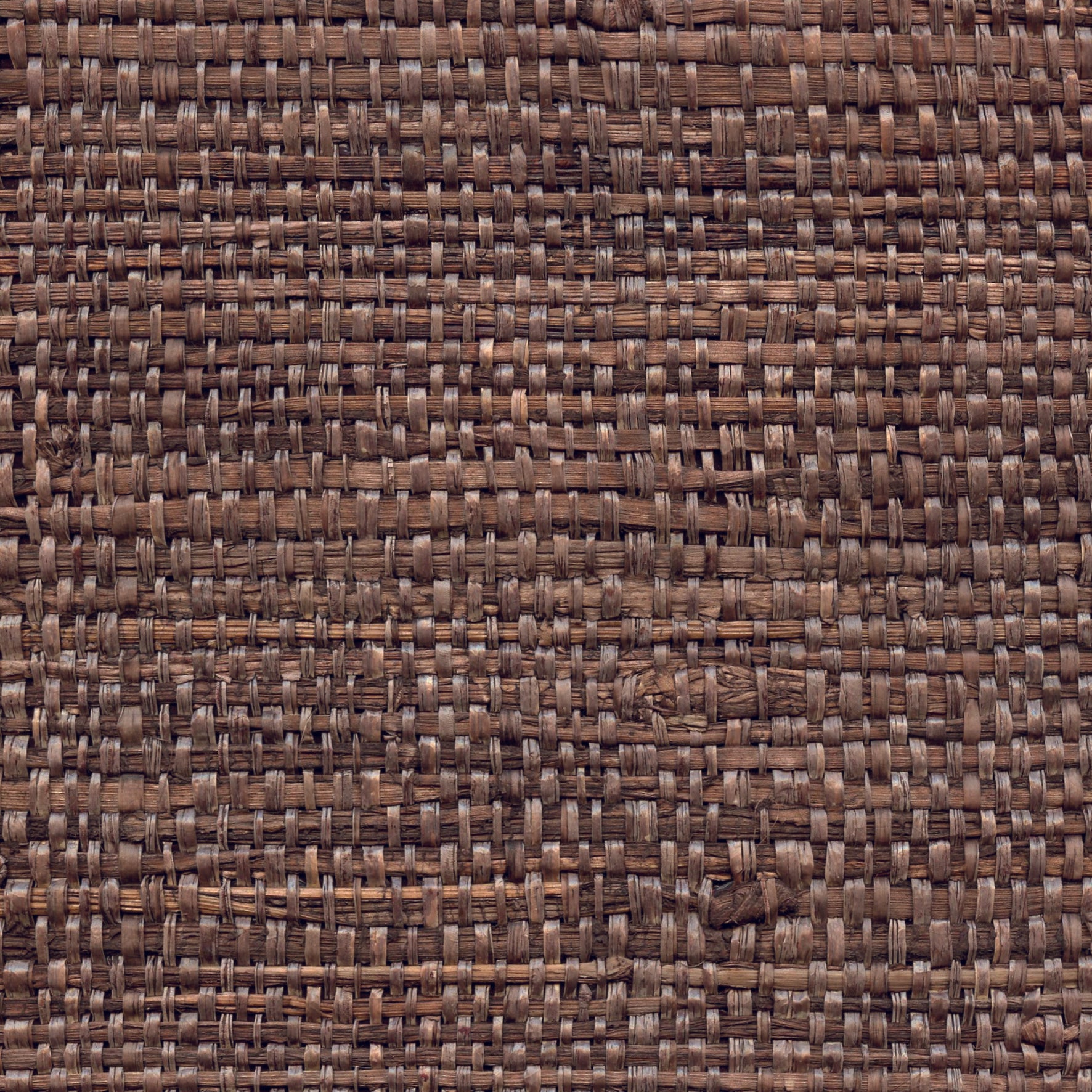 Raffia Banana Leaves - Bark