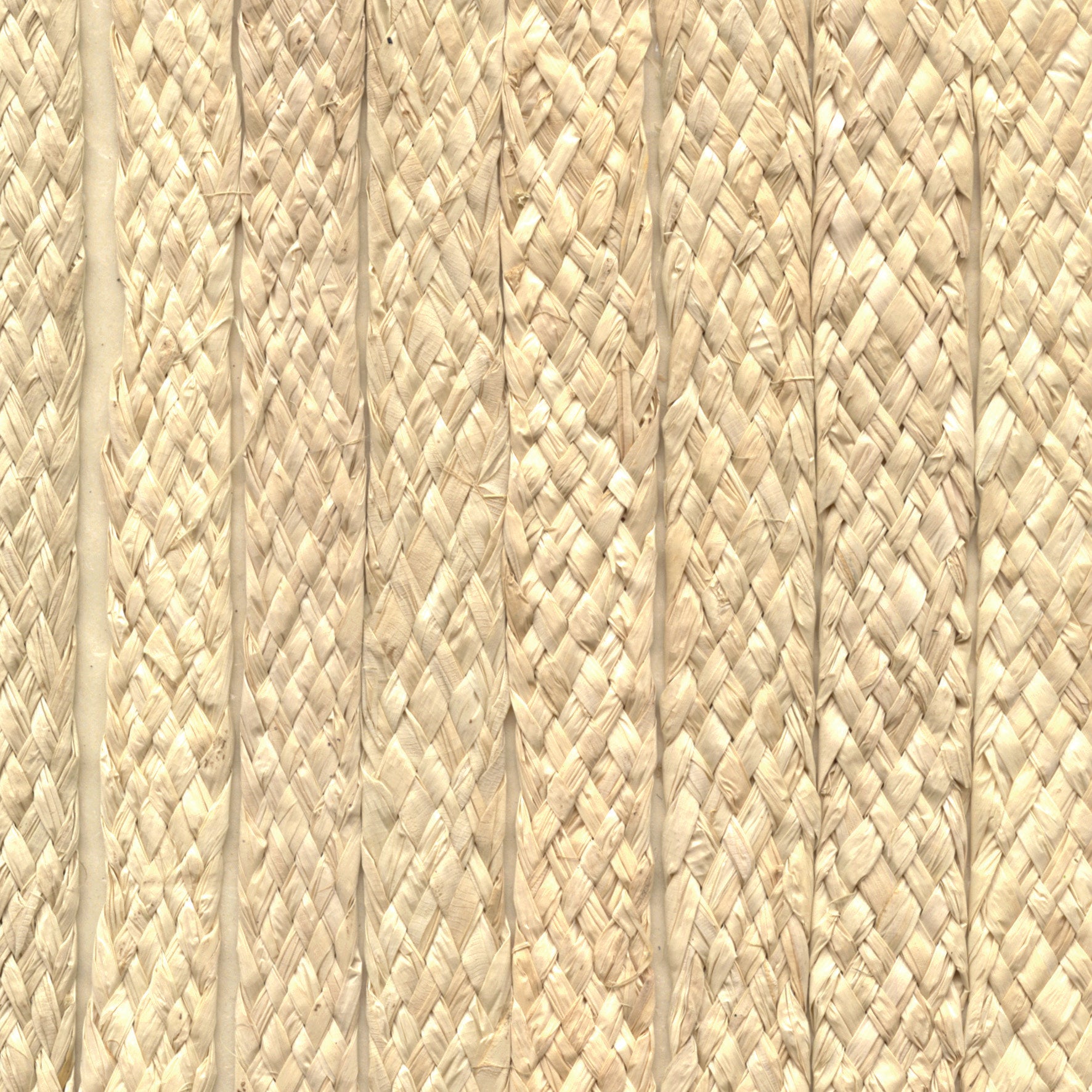 Raffia - Ecru Woven