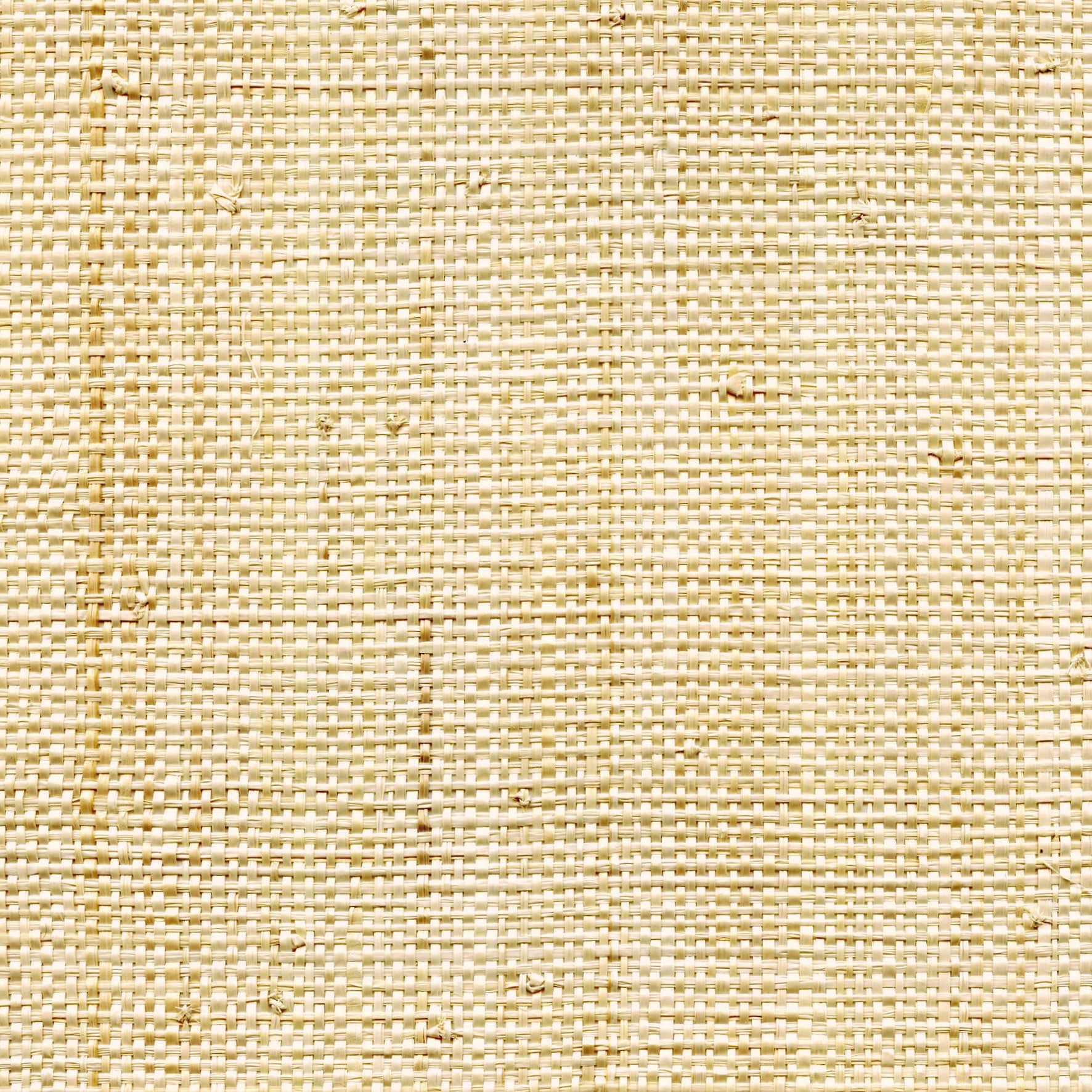 Raffia Mural 2 - Pure Raffia, Ecru Natural