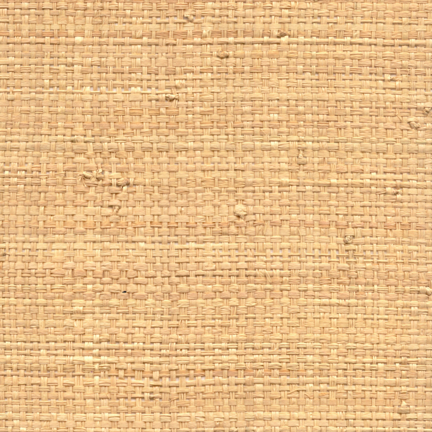Raffia Mural 2 - Pure Raffia, Wild Raffia Honey