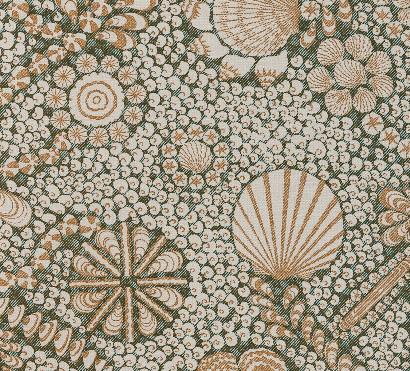 Shell Grotto - Cotton - SHEL-003