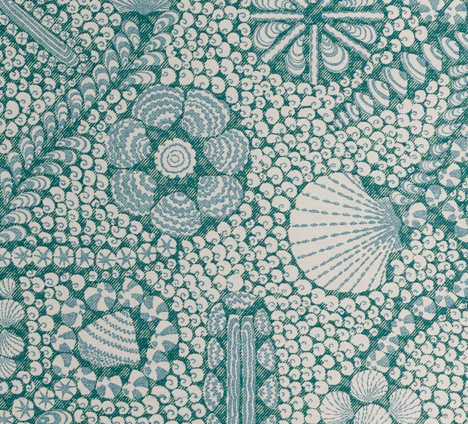 Shell Grotto - Cotton - SHEL-004