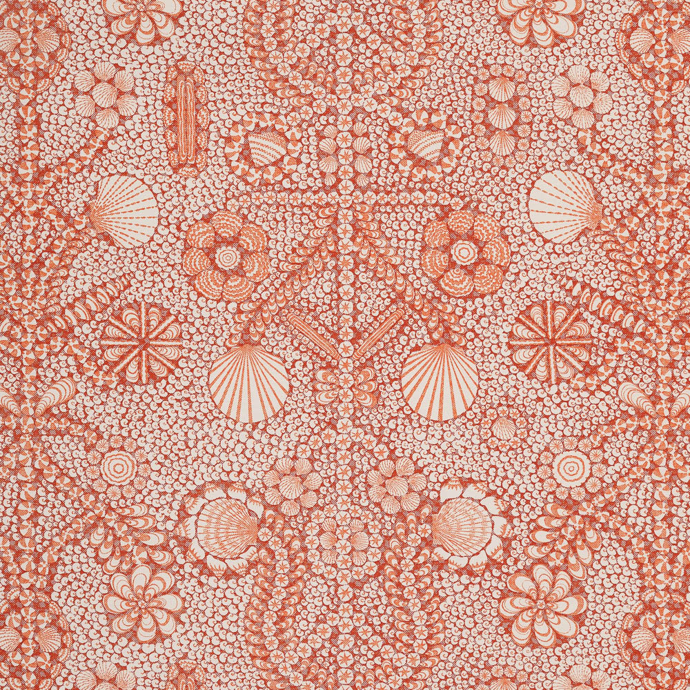 Shell Grotto SHEL-007