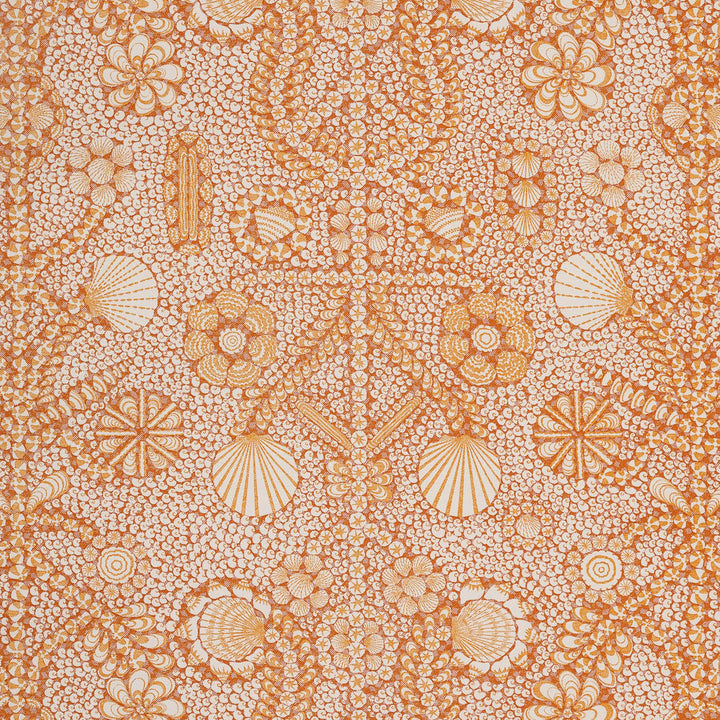 Shell Grotto SHEL-008