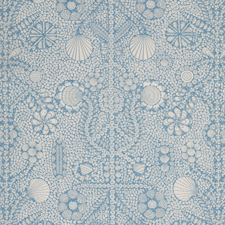 Shell Grotto SHEL-010