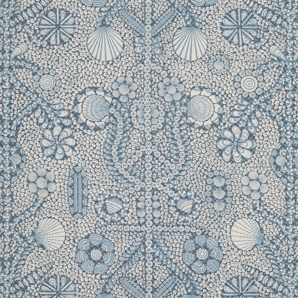 Shell Grotto SHEL-011