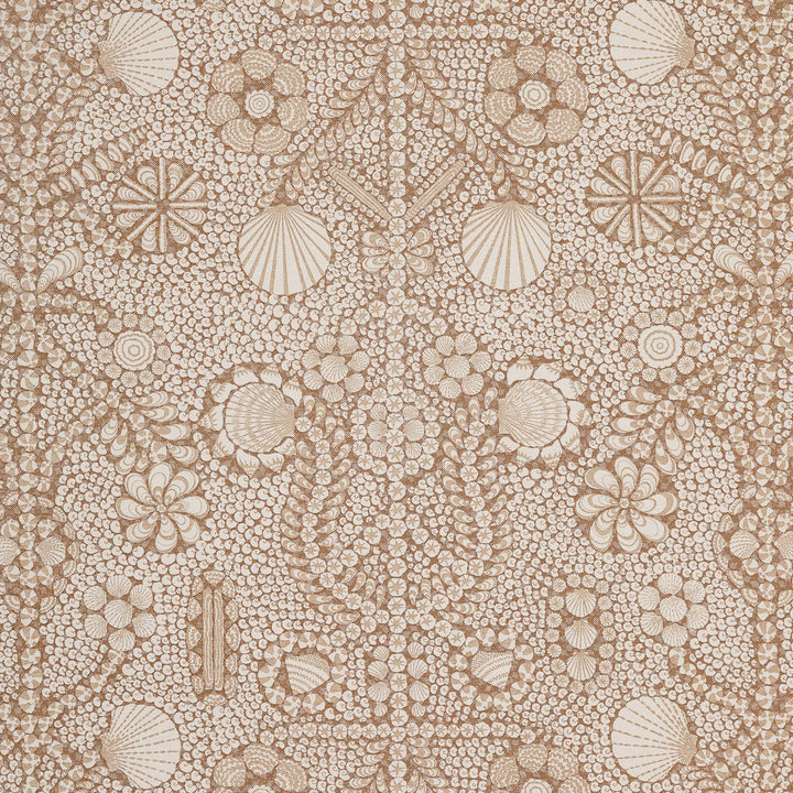 Shell Grotto SHEL-012