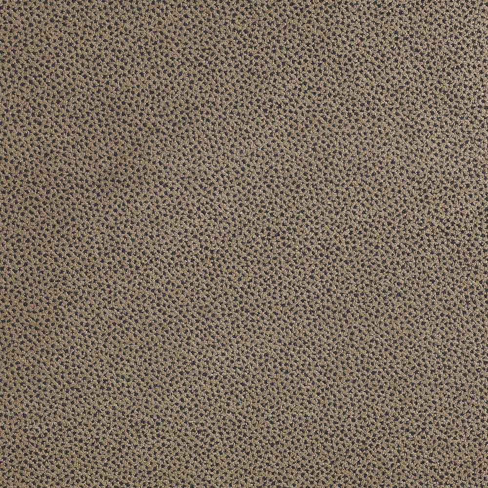 Sottosopra - Conchiglia/Carbonio