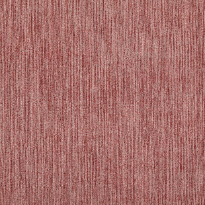 Strié 002 - Professor