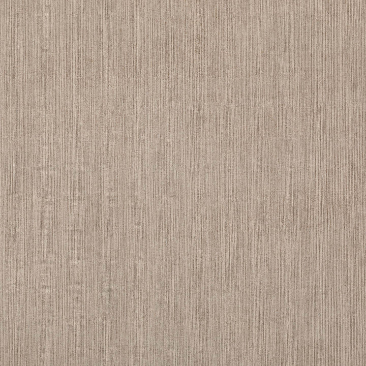 Strié 022 - Woodcock