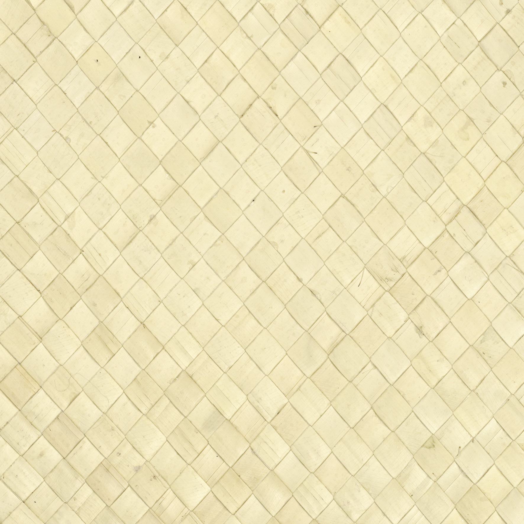 Palm Wall - Buri, Natural