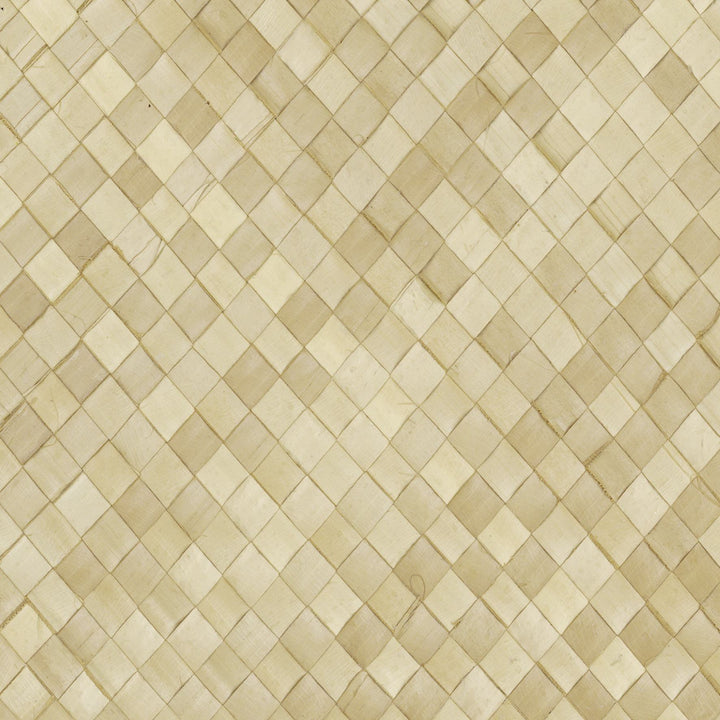 Palm Wall - Buri, Blond