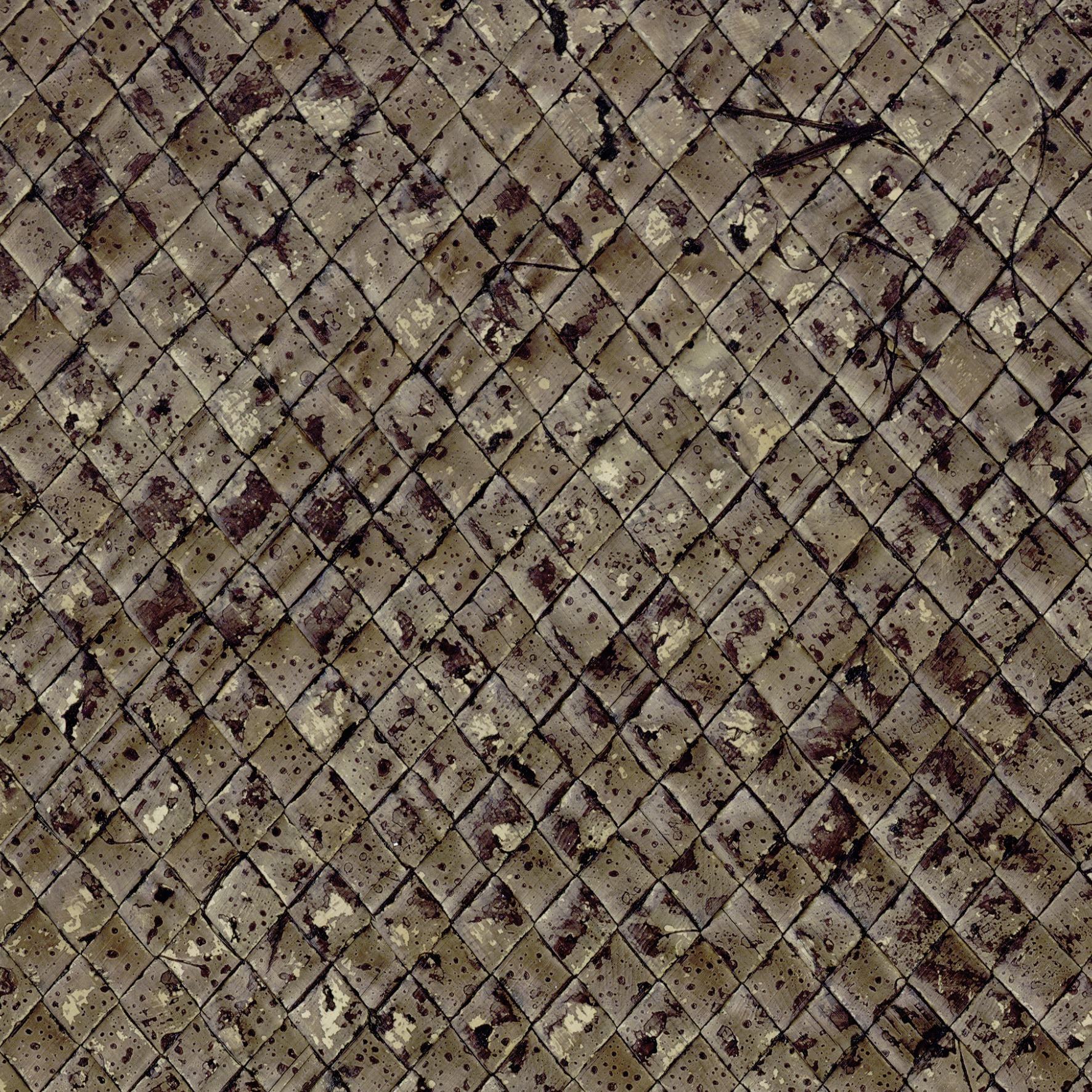 Palm Wall - Buri, Bark