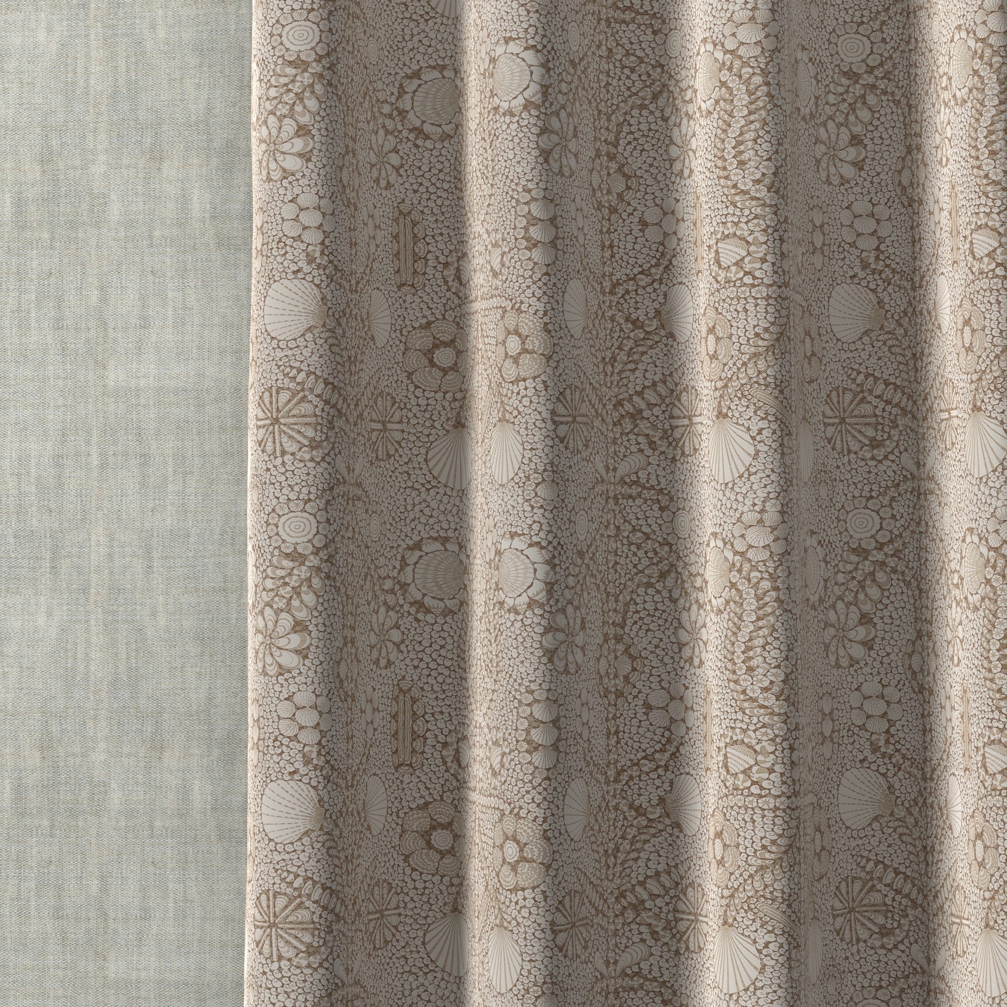 Shell Grotto SHEL-012