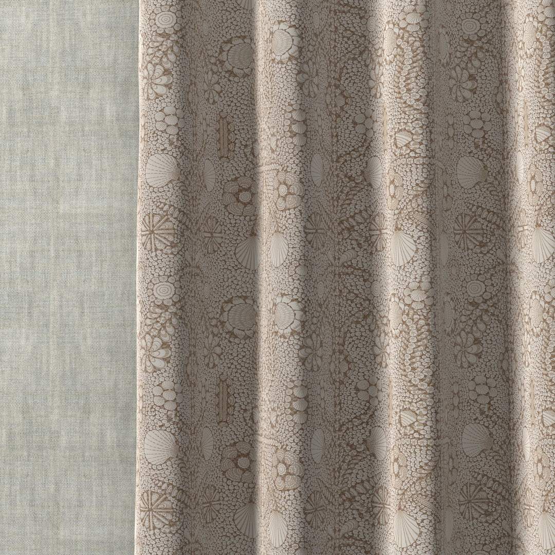 Shell Grotto SHEL-012