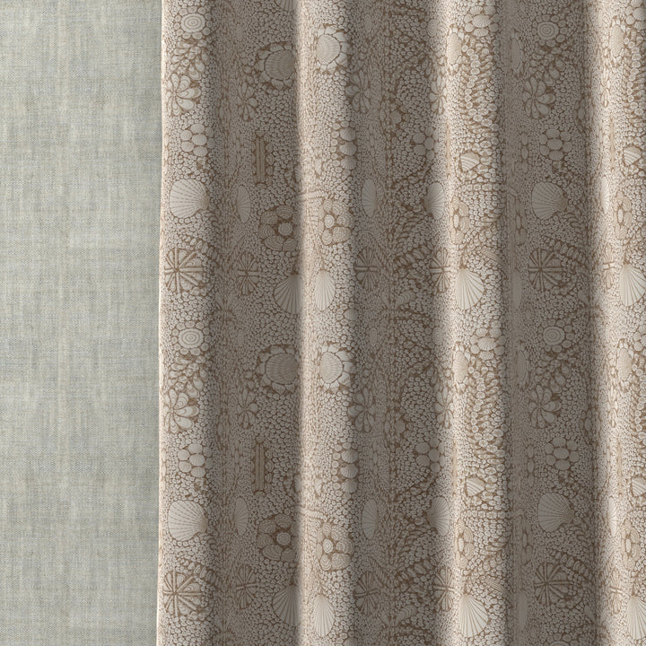 Shell Grotto SHEL-012