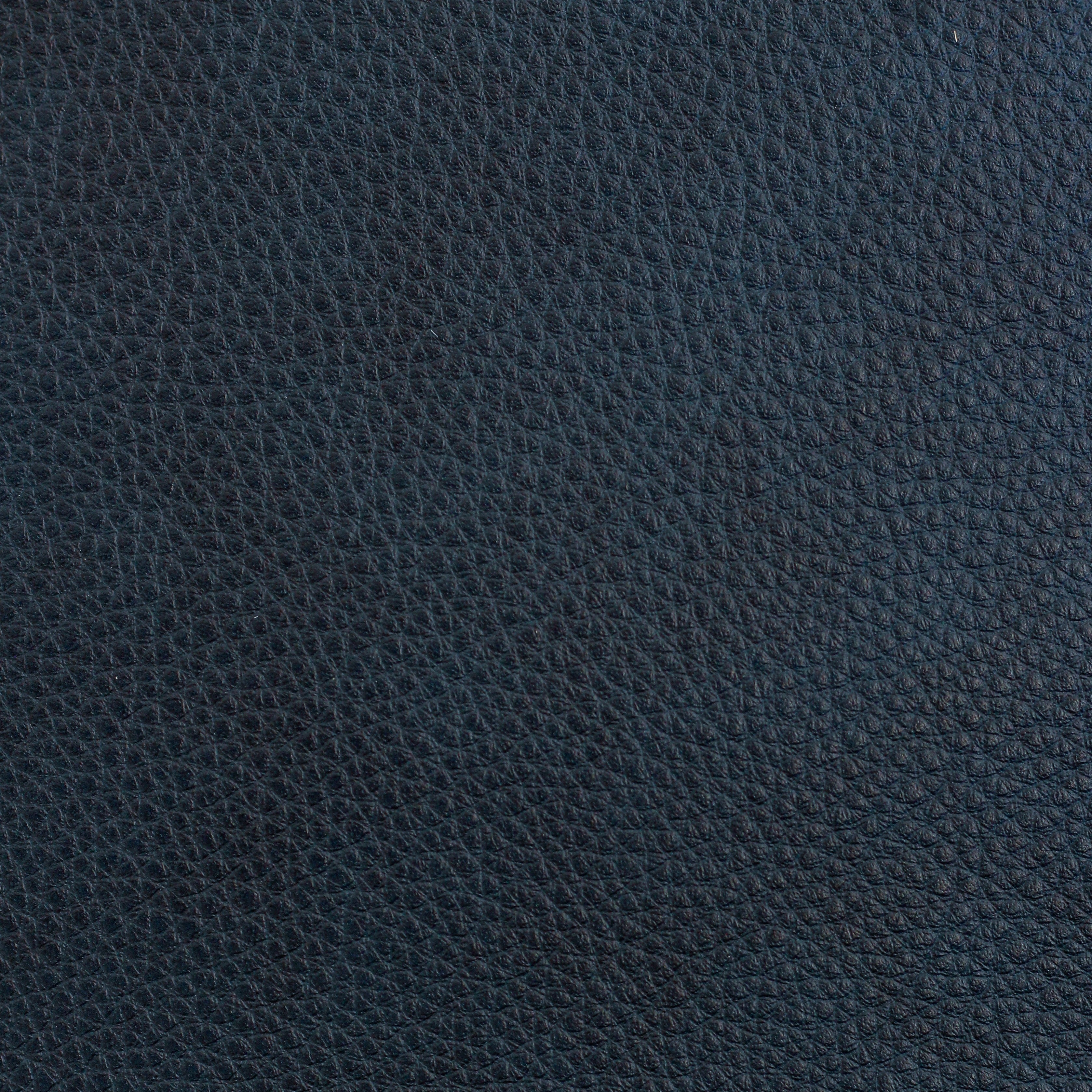 Tattle Tail - Snitch