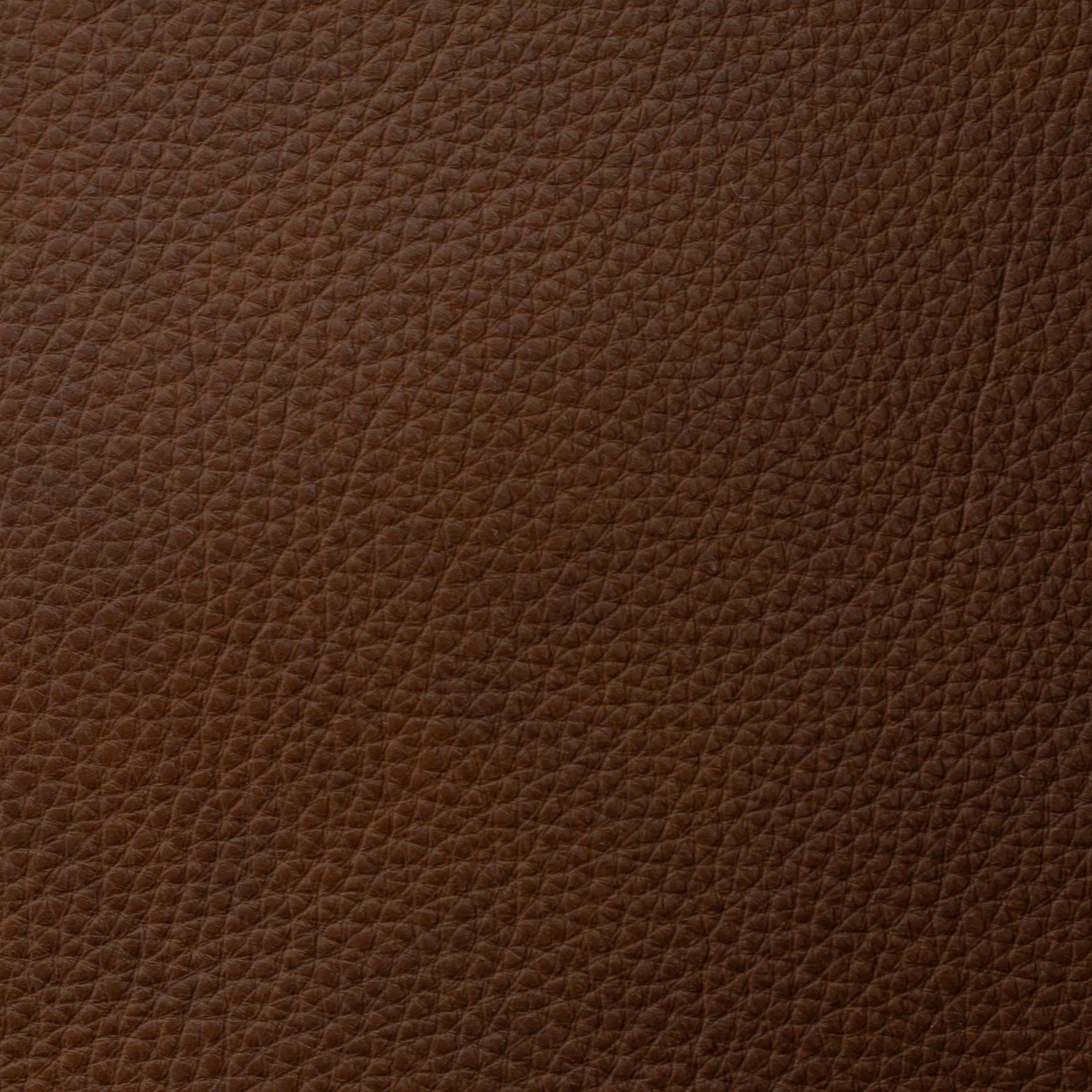 Tattle Tail - Squealer