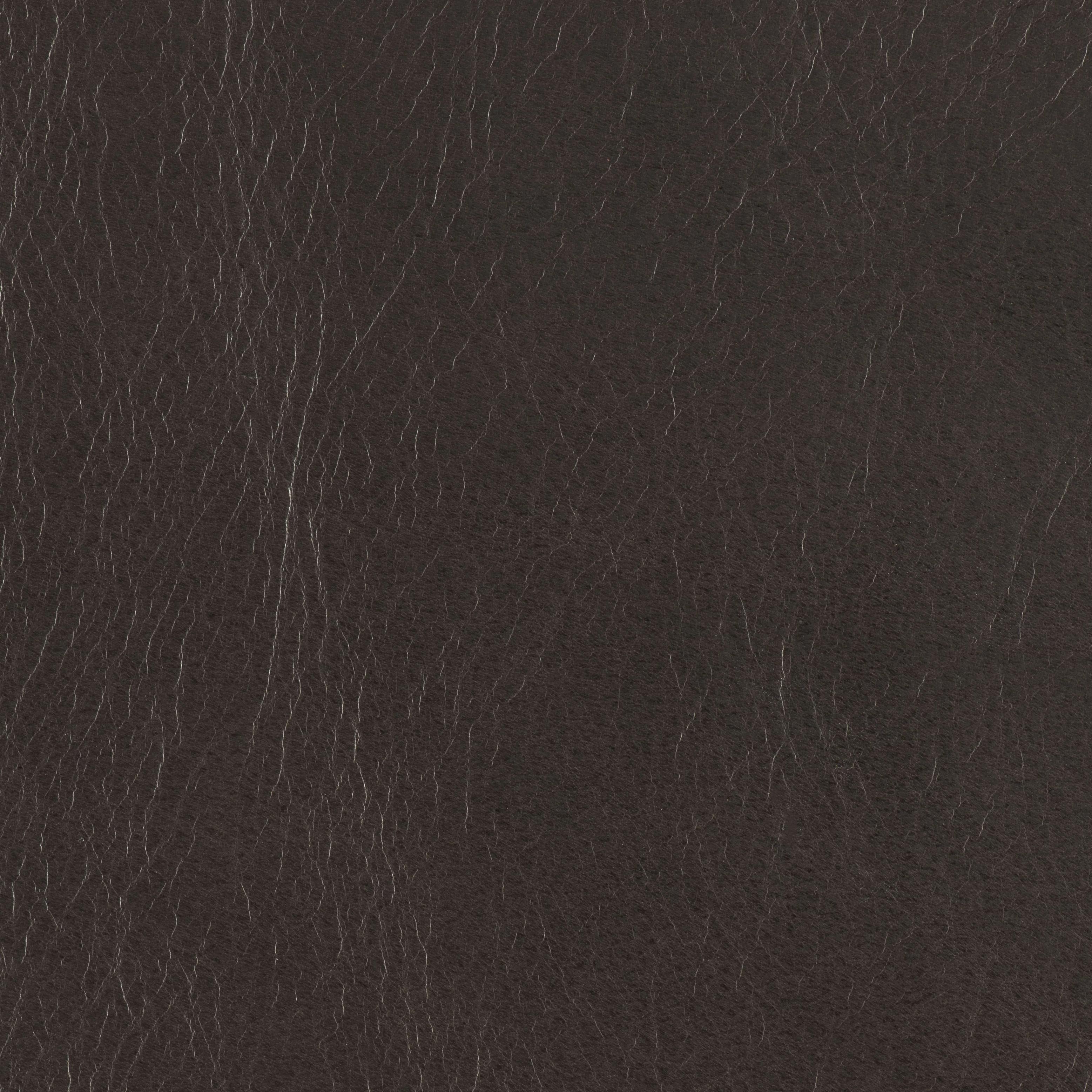 Tail Blazer - Stagecoach