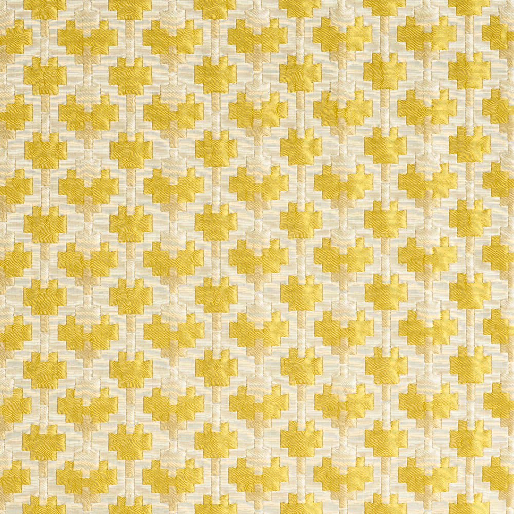 Coriandoli  - Tournesol