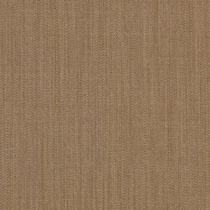 Buonfresco - Cammello