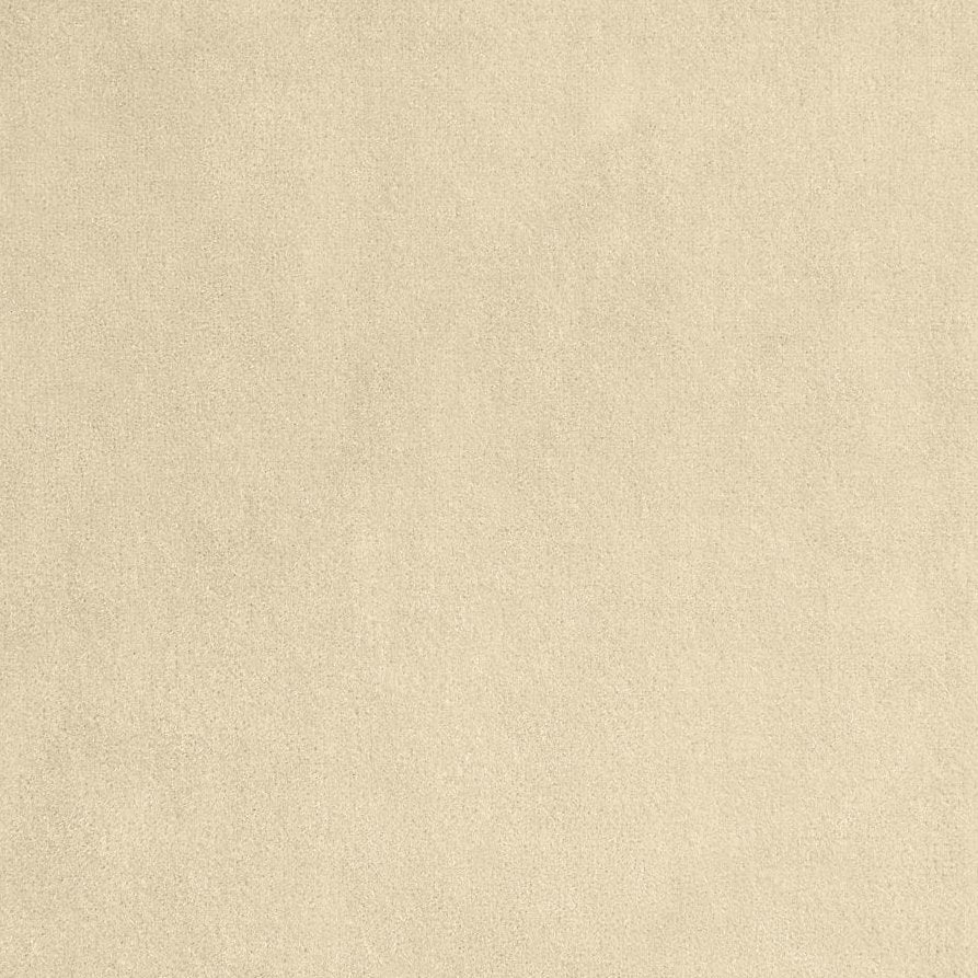 Vladimiro - Orso Polare