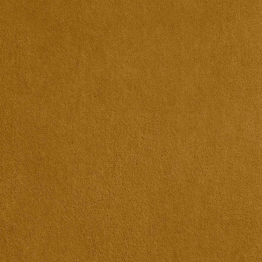 Vladimiro - Moutarde