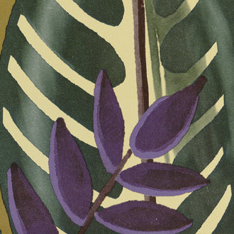 Alocasia - Flower Power - TP 302 02