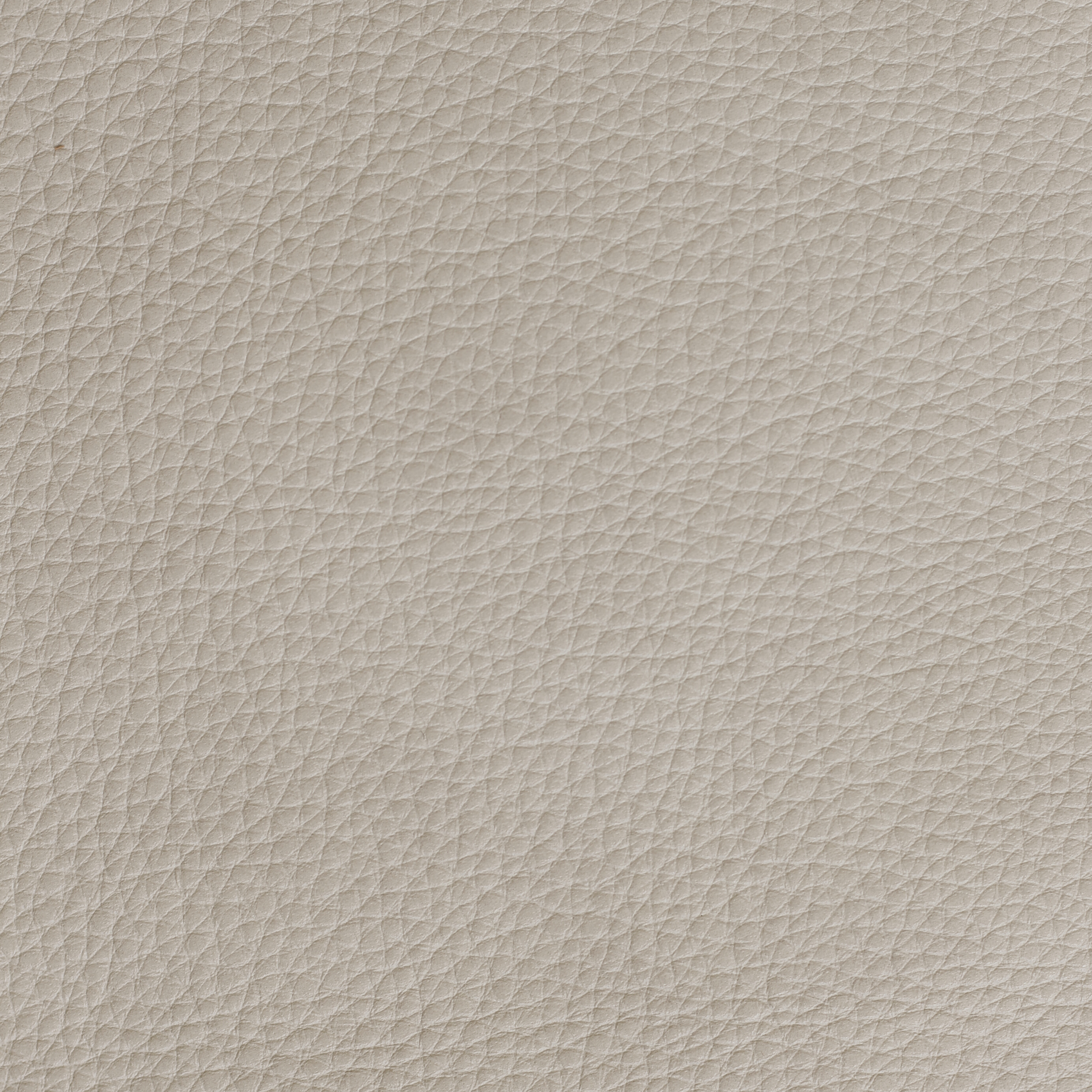 Tattle Tail - Secret