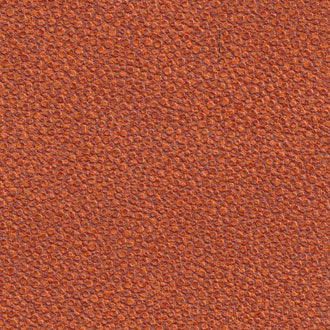 Anguille Big Croco Galuchat - VP 421 26