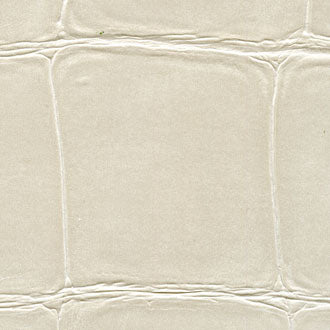 Big Croco, Anguille Big Croco Galuchat - VP 423 01