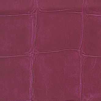 Big Croco - VP 423 17