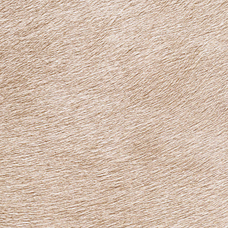 Indomptée - VP 625 40