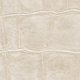 Big Croco - Anguille Big Croco Legend - VP 426 01