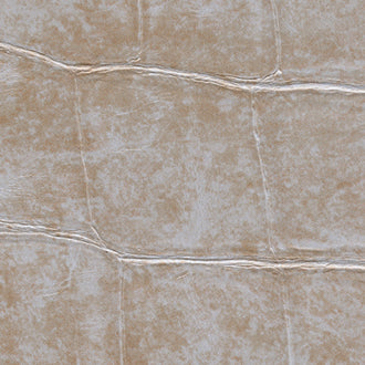 Big Croco - Anguille Big Croco Legend - VP 426 04