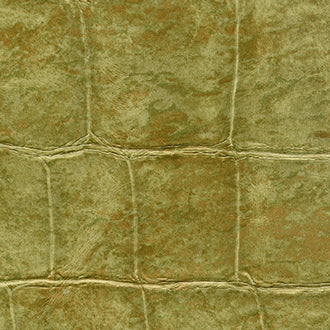 Big Croco - Anguille Big Croco Legend - VP 426 06