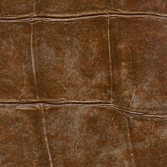 Big Croco - Anguille Big Croco Legend - VP 426 08