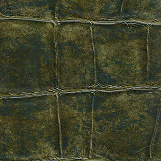 Big Croco - Anguille Big Croco Legend - VP 426 09