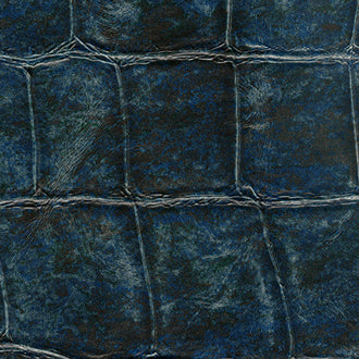 Big Croco - Anguille Big Croco Legend - VP 426 10