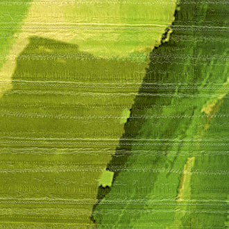 Lost in Plantation - Anguille Big Croco Legend - VP 429 01