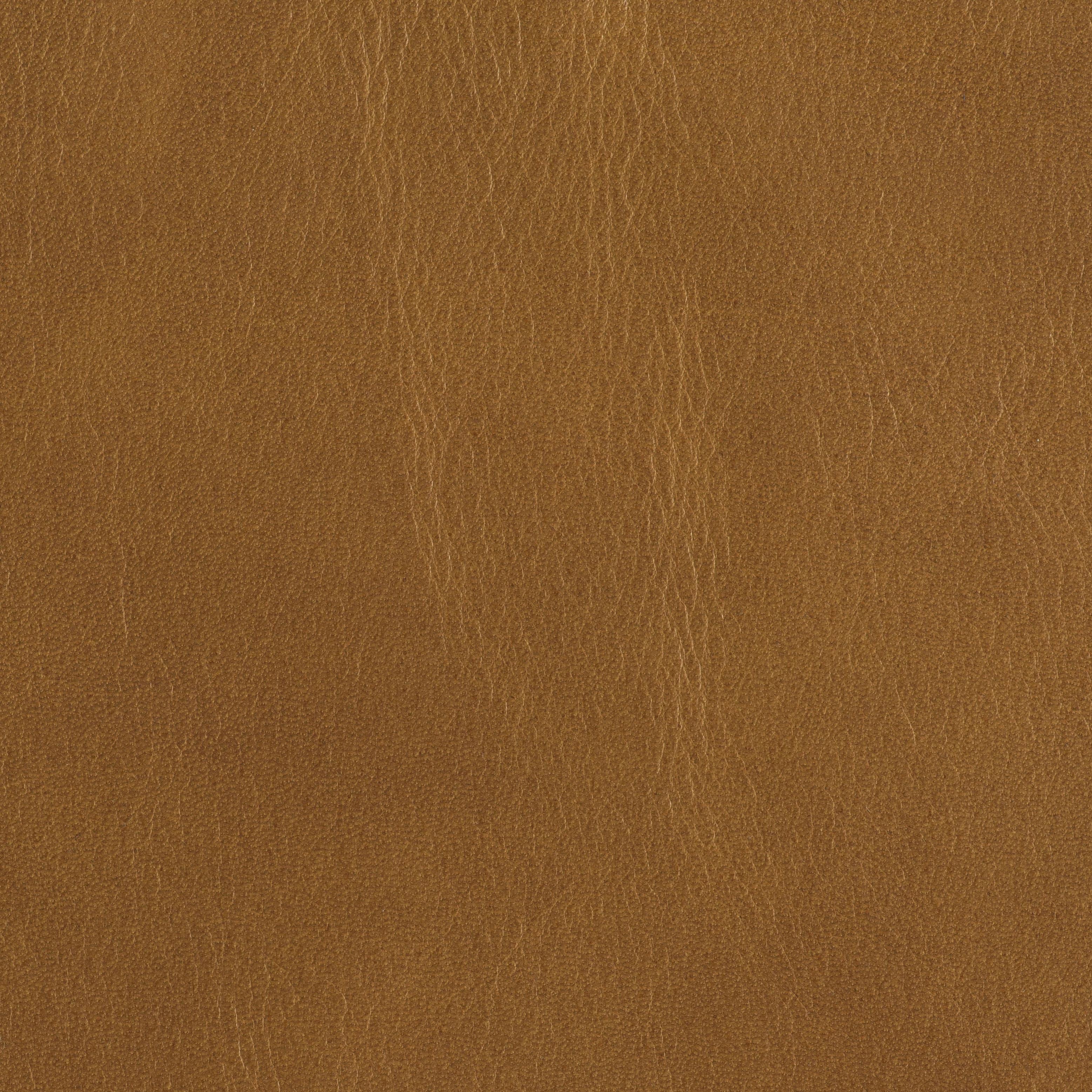 Tail Blazer - Whiskey