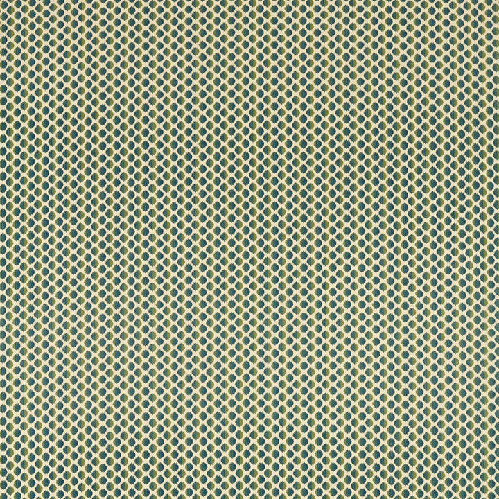 Seymour Spot - Evergreen